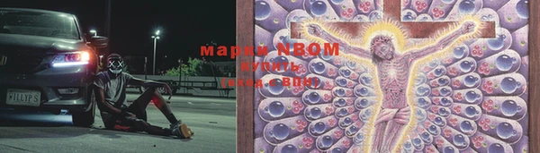 крисы Аркадак