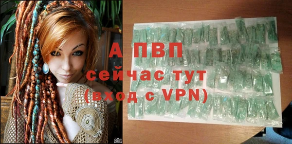 дмт Гусев