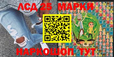 хмурый Гатчина