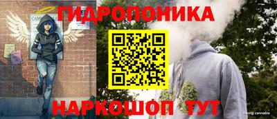 МДПВ Гагарин