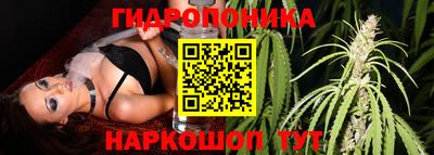 МДПВ Гагарин