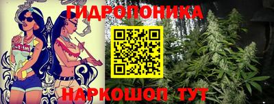 бошки Гай