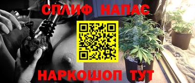 МДПВ Гагарин