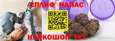 хмурый Гатчина