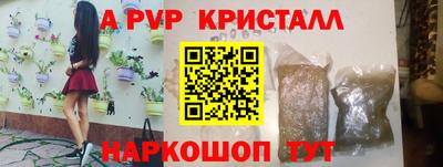 бошки Гай