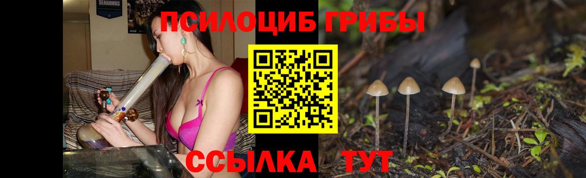 Волхов  Галлюциногенные грибы Magic Shrooms  Вход с VPN 