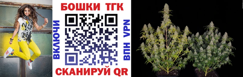 Каннабис ГИДРОПОН  купить наркоту  Волхов 